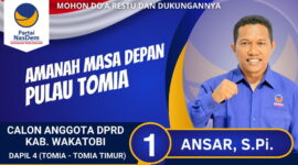 Ansar. Foto: Ist