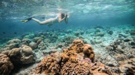 Wisman sedang menikmati keindahan alam laut Indonesia. Foto: Ist