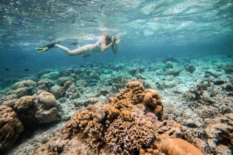 Wisman sedang menikmati keindahan alam laut Indonesia. Foto: Ist