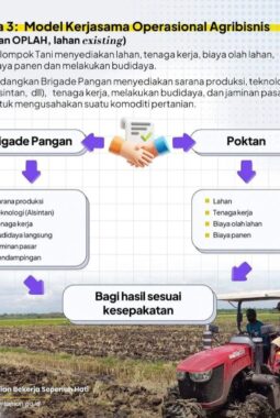 Brigade Pangan dan Kelompok Tani Bersinergi: Model Baru Tingkatkan Produktivitas Pertanian